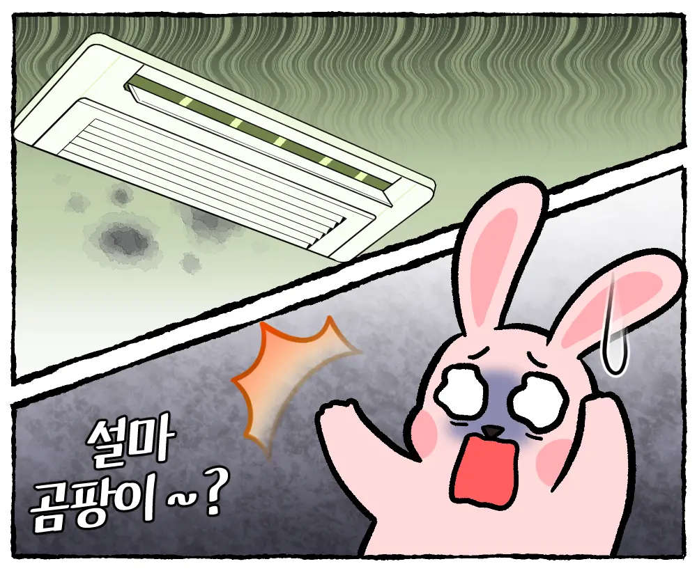 송도 천장형에어컨 벽지 곰팡이 원인 및 수리｜천장 곰팡이, 에어컨 배관 결로 문제 해결