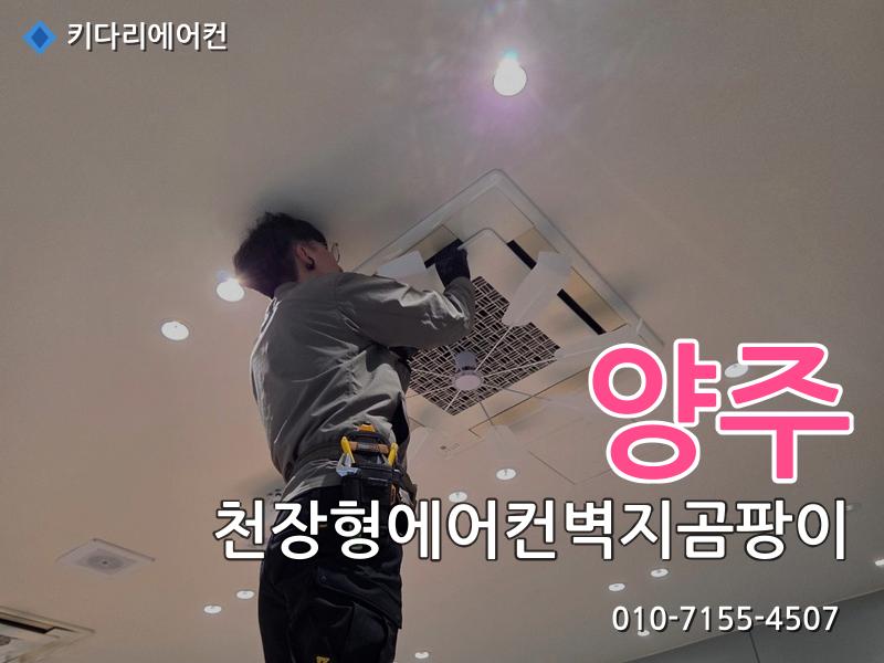 양주 천장형에어컨벽지곰팡이
